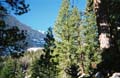 Tahoe-MtMuir-etc 017