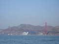 SFFleetWeek2006 058