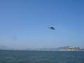 SFFleetWeek2006 167