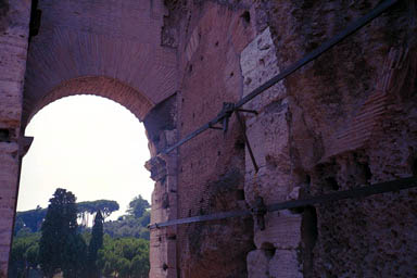 IMG0035